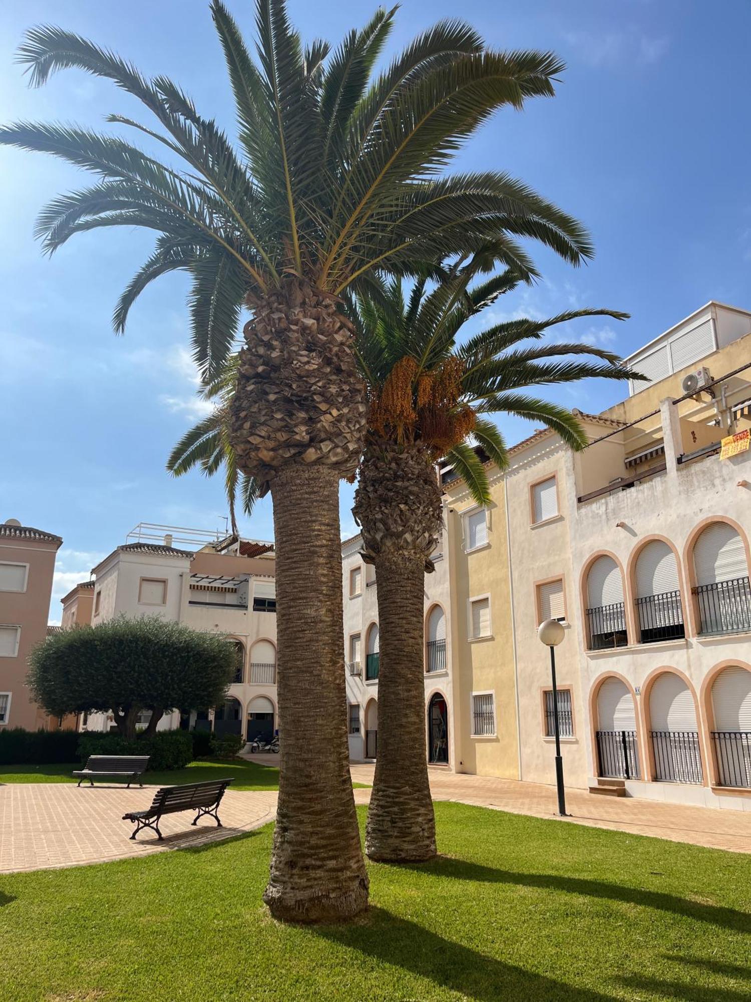 Torrevieja 2 Bedrooms Appartment Exterior photo